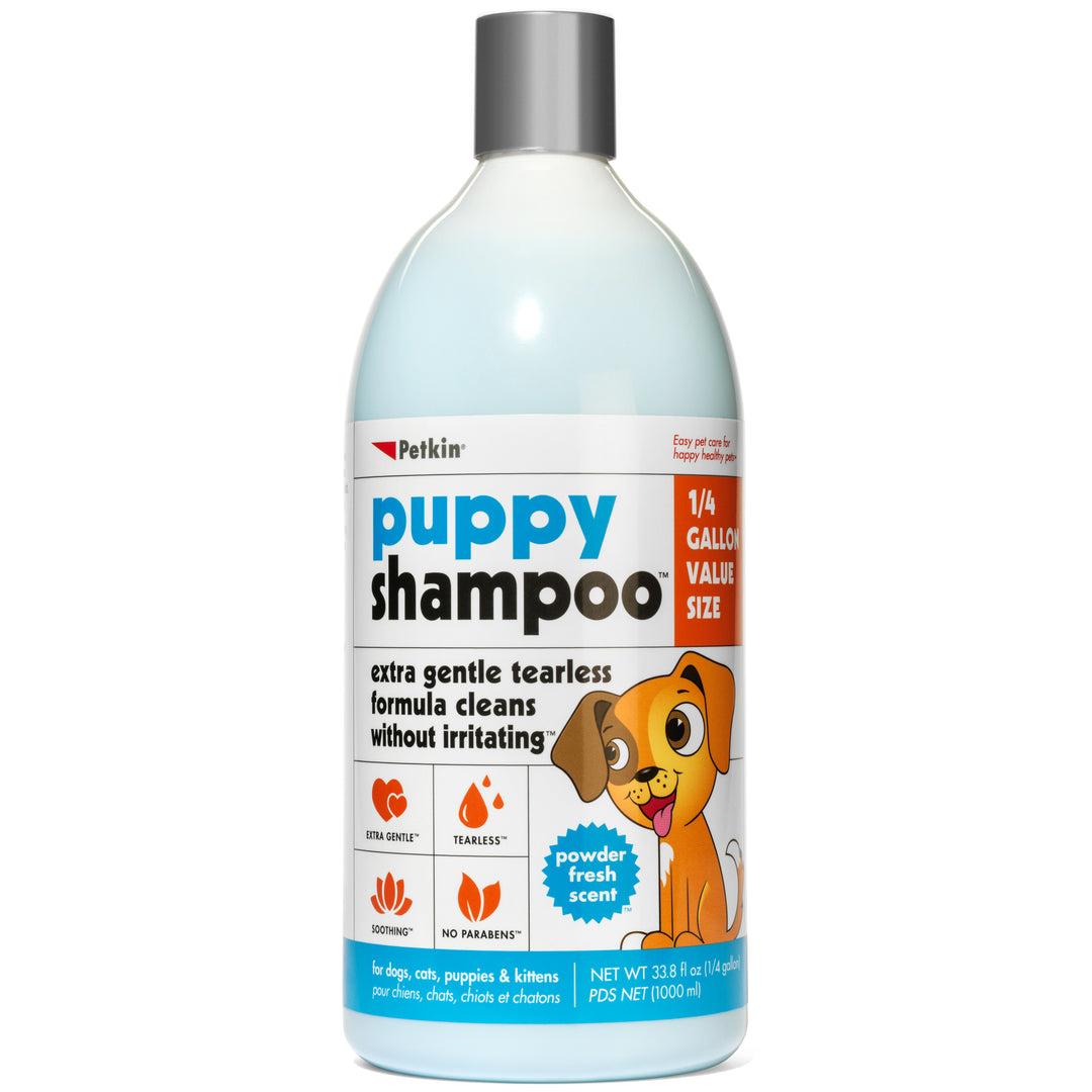 bird bath cleaner, Shampoo, hair shampoo, best shampoo, top shampoo, buy shampoo, shampoo online, shampoo for sale, natural shampoo, organic shampoo, sulfate-free shampoo, moisturizing shampoo, clarifying shampoo, volumizing shampoo, strengthening shampoo, color-safe shampoo, shampoo for oily hair, shampoo for dry hair, shampoo for fine hair, shampoo for thick hair, shampoo for damaged hair, anti-dandruff shampoo, itchy scalp shampoo, sensitive scalp shampoo