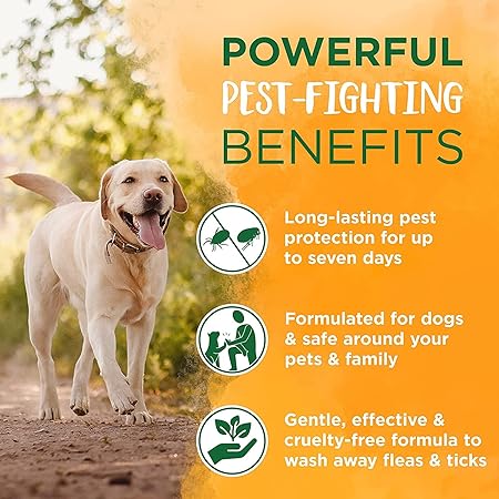 Natural dog shampoo, Flea and tick treatment, dog shampoo for flea and tick , Best dog shampoo in India , Shampoo and conditioners, Shampoo best for summer, Under 1000, Shampoo for adult dogs, pest free shampoo for dogs, safe for pets tropiclean shampoo, best dog shampoo online, Best-selling dog shampoo in  India