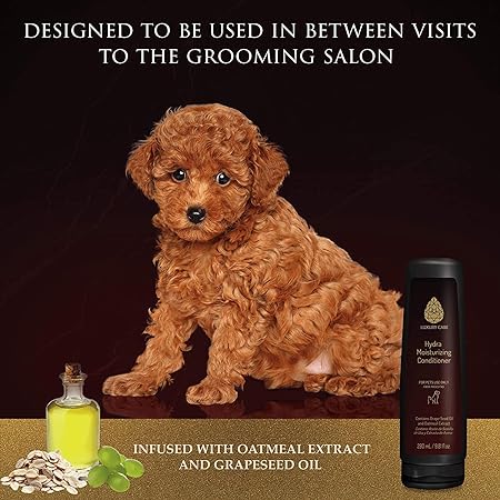 leave-in pet conditioner, rinse-out pet conditioner, oatmeal pet conditioner, gentle pet conditioner, vet recommended pet conditioner, grooming conditioner for pets, professional pet conditioner, cheap pet conditioner, discount pet conditioner, scented pet conditioner, unscented pet conditioner, pet grooming products, animal conditioner, canine conditioner, feline conditioner, small animal grooming supplies, bird grooming products, conditioning spray for pets, pet hair detangler, pet fur softener, pet coat 