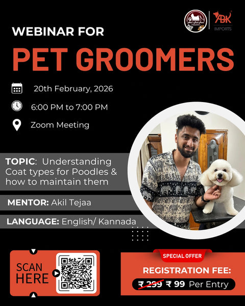 Understanding Coat Types for Poodles & How to Maintain Them