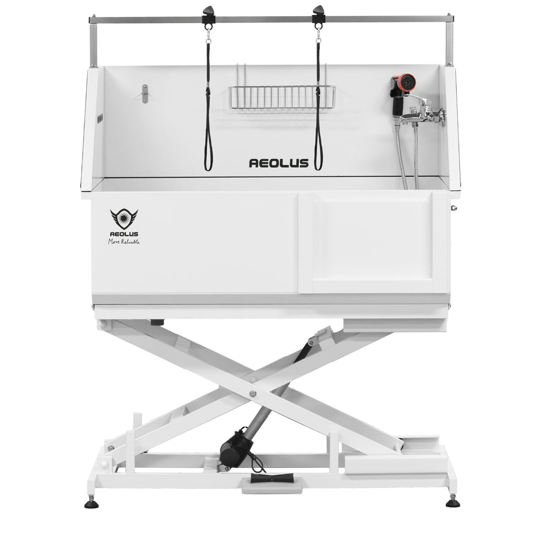 Aeolus Maxima Electric Lifting Bathtub with Sliding Door – White