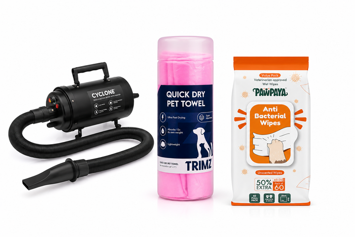 Cyclone Pet Dryer, Quick-Dry Towel & Pawpaya Antibacterial Wipes Combo