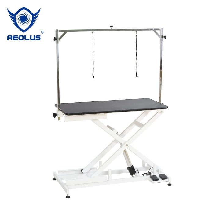 Aeolus Magna Eco Electric Lifting Table