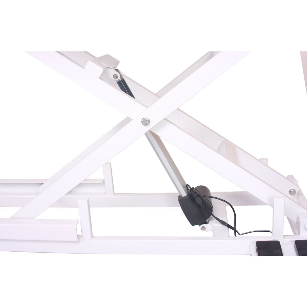 Aeolus Magna X Electric Lifting Pet Grooming Table (White)