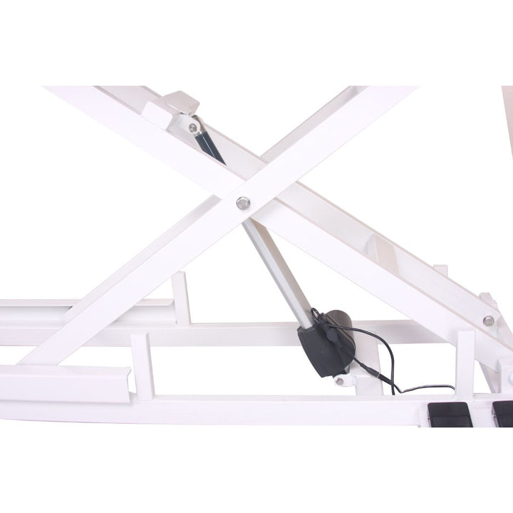 Aeolus Magna X Electric Lifting Pet Grooming Table (White)