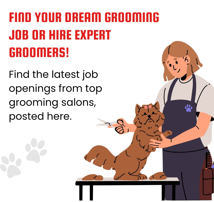 Pet grooming job openings, hire dog groomers, grooming careers India, certified pet groomer roles, dog grooming jobs near me, pet stylist recruitment, job vacancies for groomers, ABK Grooming hiring page, grooming salon careers, mobile grooming job board, cat grooming job post, work with pets in India, dog salon job, pet grooming vacancy India, grooming job connect platform, find groomer talent, grooming career network