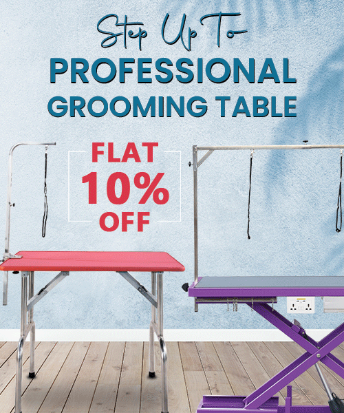 ABK Grooming A Leading Pet Grooming Supplier in Pune, India ABK
