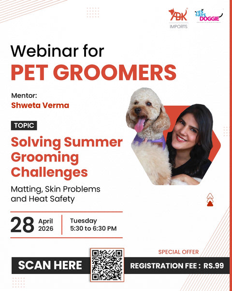 Solving Summer Grooming Challenges