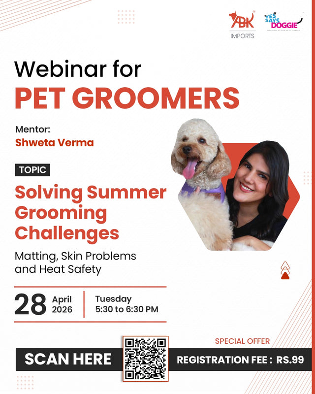 Solving Summer Grooming Challenges
