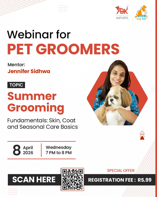 Summer Grooming Fundamentals