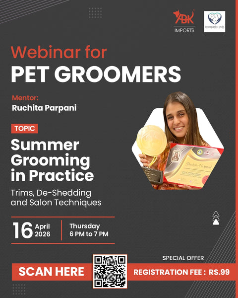 Summer Grooming in Practice