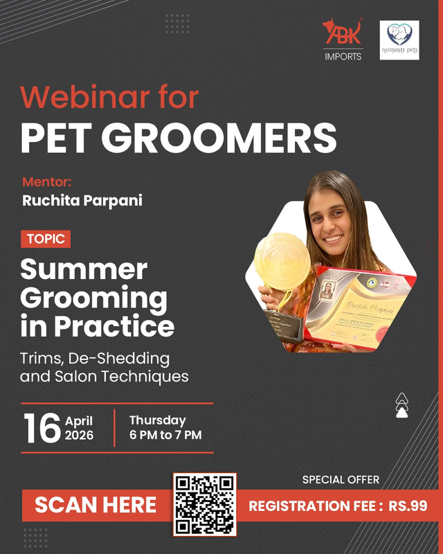 Summer Grooming in Practice