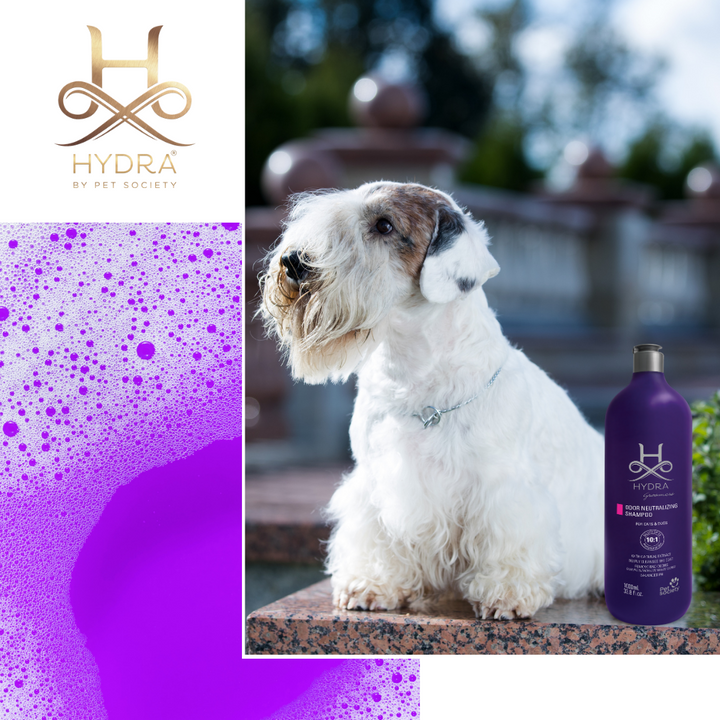 Hydra Groomers Odour Neutralizing Shampoo for Dogs & Cats (5 L)