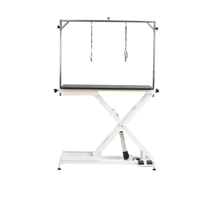 Magna Eco Electric Lifting Table