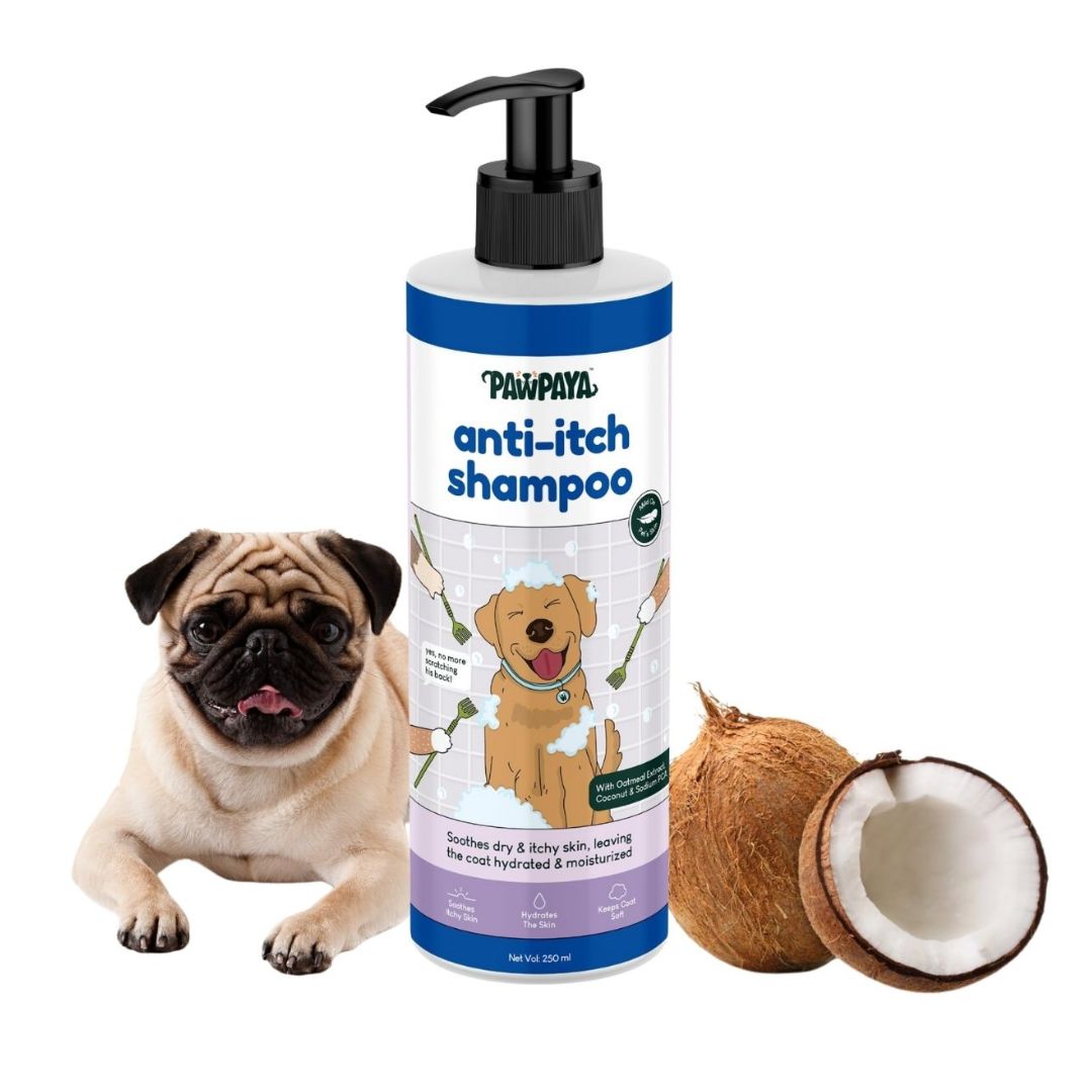 Shampoo, hair shampoo, best shampoo, top shampoo, buy shampoo, shampoo online, shampoo for sale, natural shampoo, organic shampoo, sulfate-free shampoo, moisturizing shampoo, clarifying shampoo, volumizing shampoo, strengthening shampoo, color-safe shampoo, shampoo for oily hair, shampoo for dry hair, shampoo for fine hair, shampoo for thick hair, shampoo for damaged hair, anti-dandruff shampoo, itchy scalp shampoo, sensitive scalp shampoo, hypoallergenic shampoo, medicated shampoo, professional shampoo
