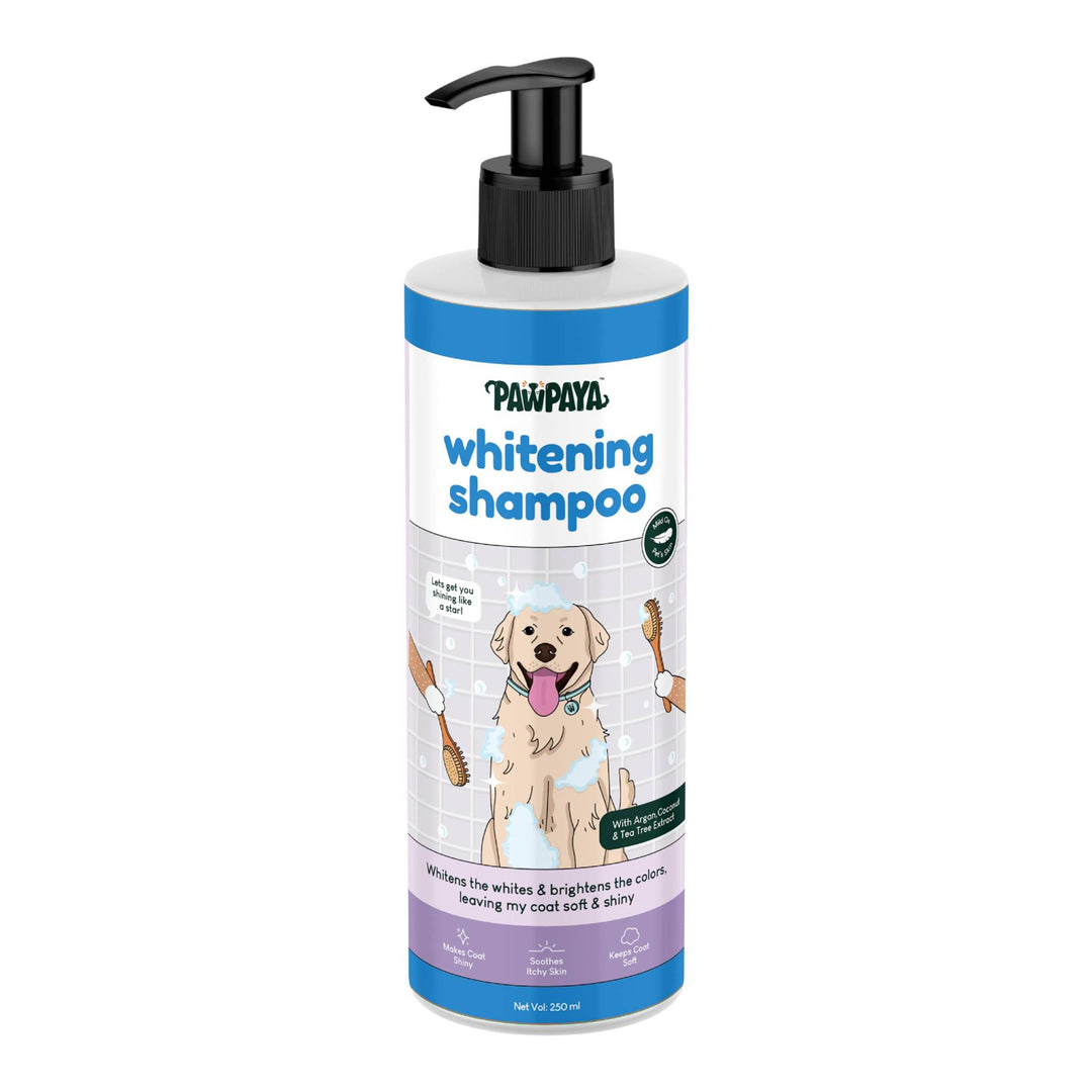 shampoo for fine hair, shampoo for thick hair, shampoo for damaged hair, anti-dandruff shampoo, itchy scalp shampoo, sensitive scalp shampoo, hypoallergenic shampoo, medicated shampoo, professional shampoo, salon shampoo, cheap shampoo, discount shampoo, gentle shampoo, daily shampoo, deep cleansing shampoo, nourishing shampoo, revitalizing shampoo, repairing shampoo, smoothing shampoo, frizz control shampoo, curl enhancing shampoo, texturizing shampoo, baby shampoo, kids shampoo, pet shampoo, flea shampoo