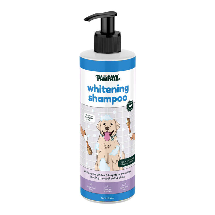 shampoo for fine hair, shampoo for thick hair, shampoo for damaged hair, anti-dandruff shampoo, itchy scalp shampoo, sensitive scalp shampoo, hypoallergenic shampoo, medicated shampoo, professional shampoo, salon shampoo, cheap shampoo, discount shampoo, gentle shampoo, daily shampoo, deep cleansing shampoo, nourishing shampoo, revitalizing shampoo, repairing shampoo, smoothing shampoo, frizz control shampoo, curl enhancing shampoo, texturizing shampoo, baby shampoo, kids shampoo, pet shampoo, flea shampoo