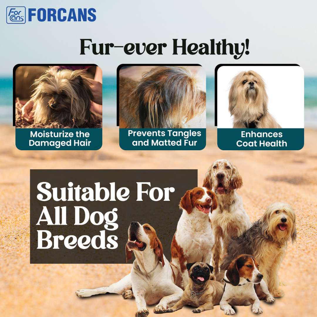 Forcans Aloe Shampoo for Dogs with Long Coats, 750 ml
