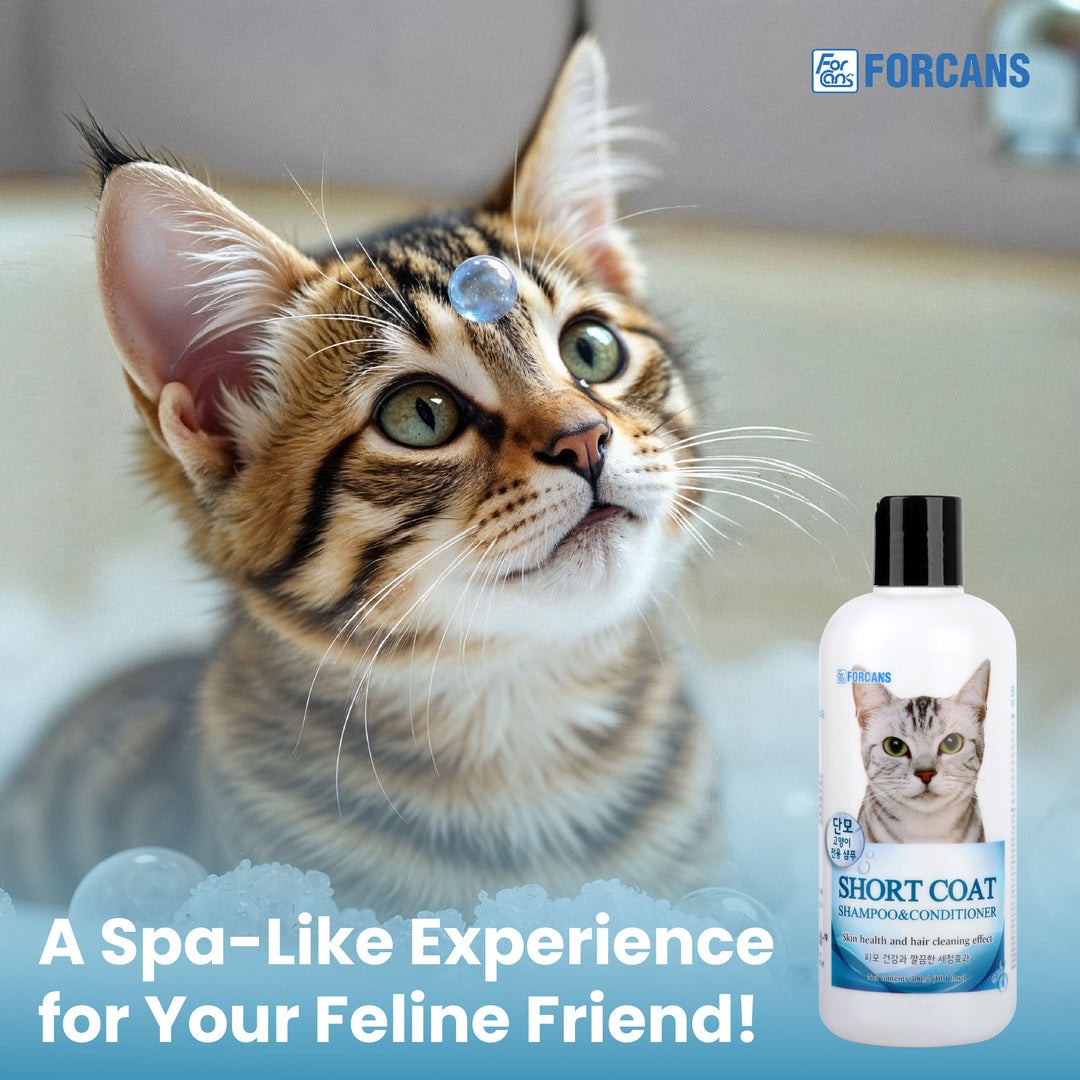 Forcans Cat Short Coat Shampoo & Conditioner Gentle Cleansing Care for Short-Haired Cats
