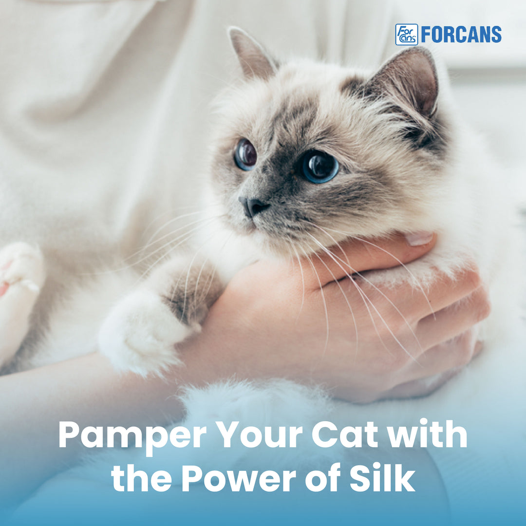 Forcans Cat Short Coat Shampoo & Conditioner Gentle Cleansing Care for Short-Haired Cats