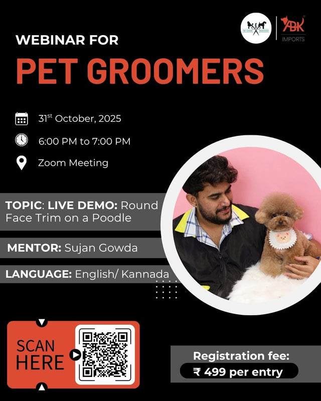 Round Face Trim on a Poodle