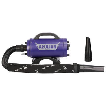 Aeolian Blaster Pro Ametek Single Motor Dryer (Blue)