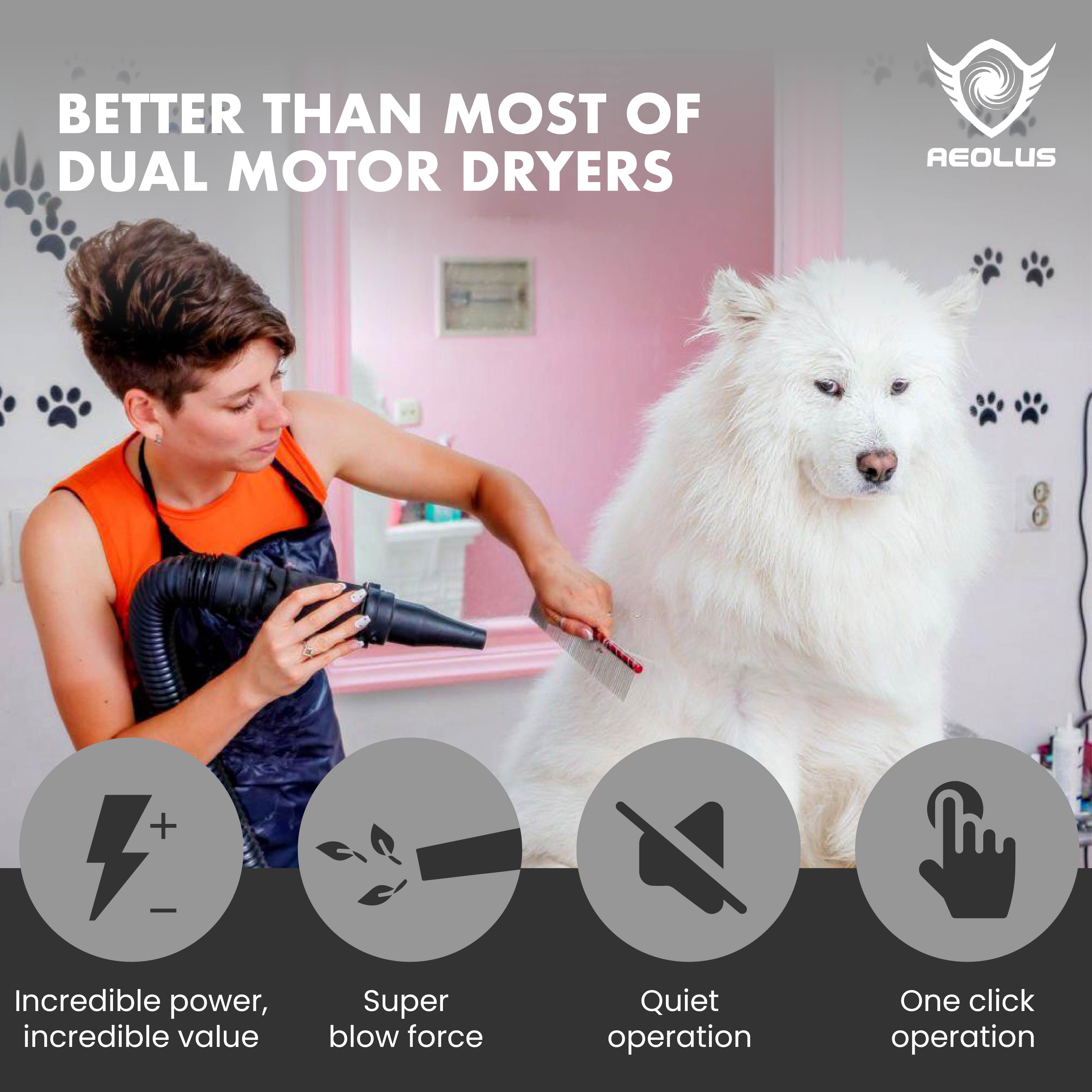 Aeolian Blaster Single Motor Dog Hair Dryer