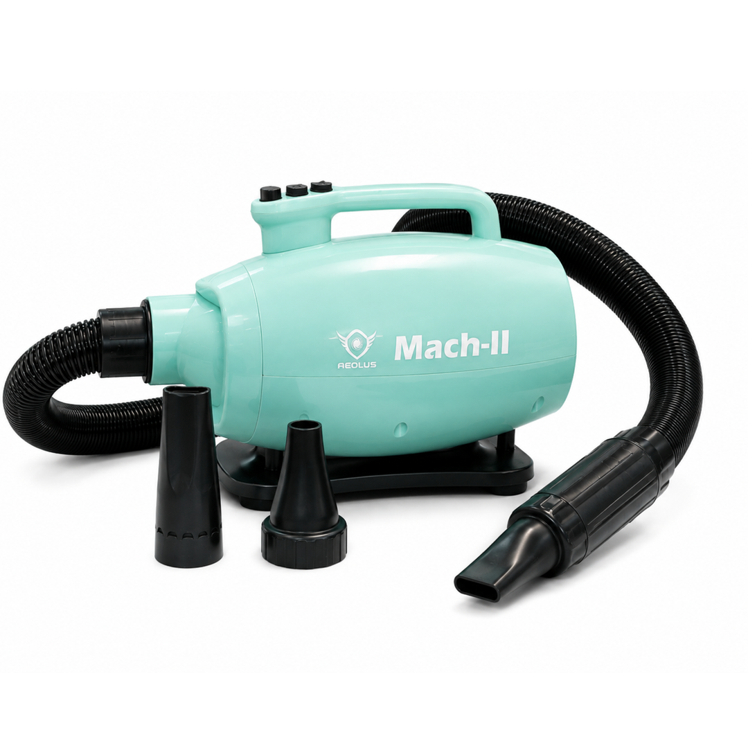 Aeolus Mach-II Dual Motor Pet Dryer – 3200W | TD-950