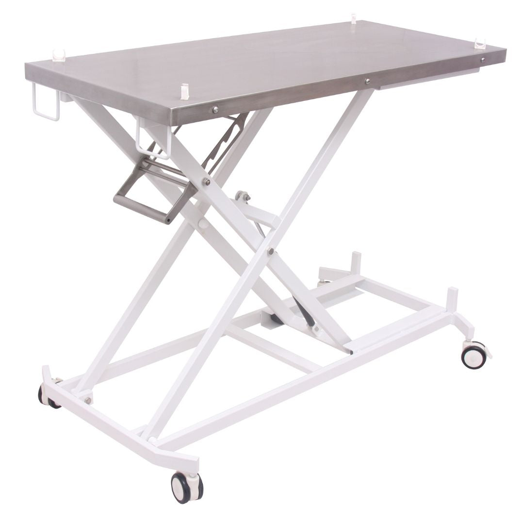Transportation Table for Pets with a Removable Stretcher