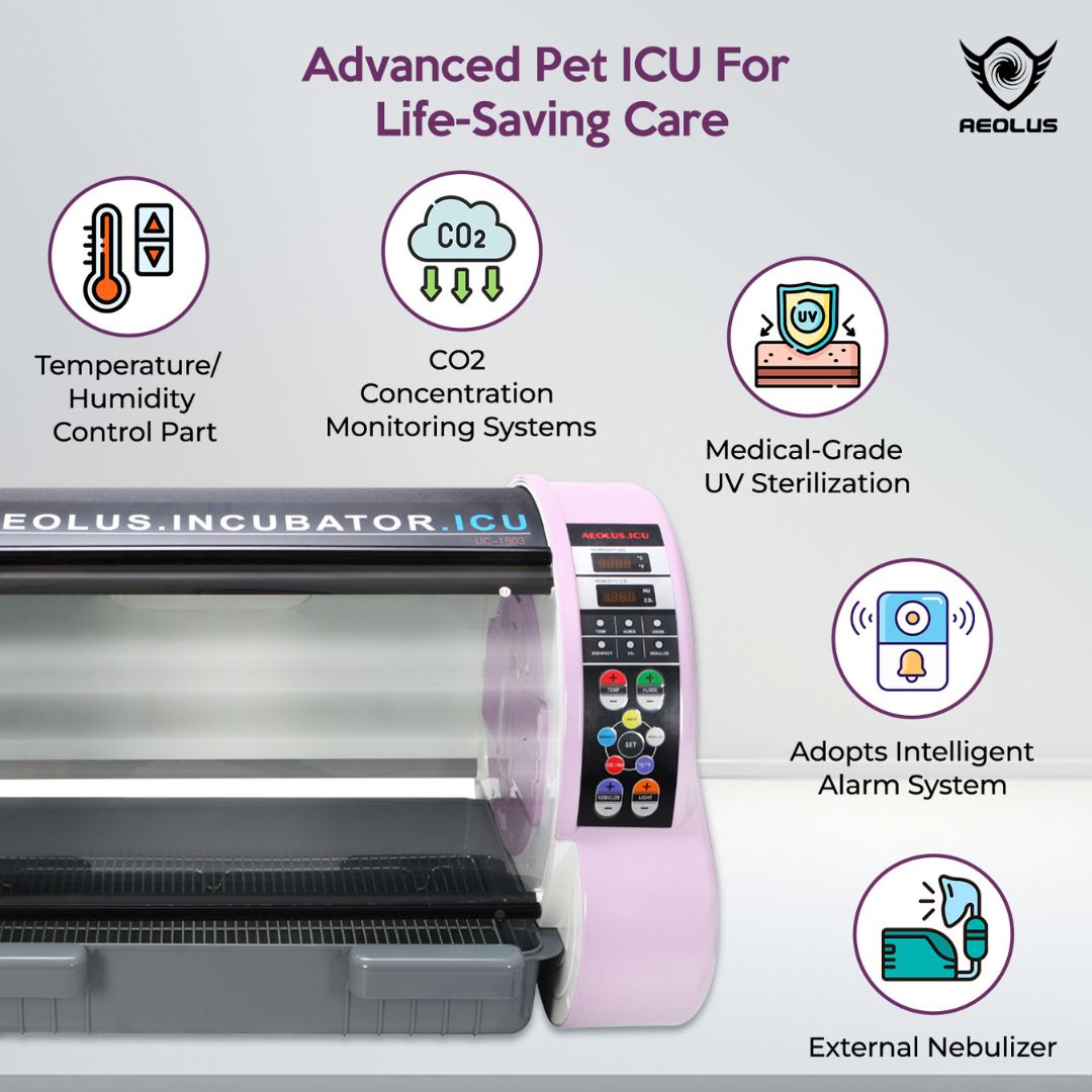 dog incubator, dog incubator with oxygen, dog incubator temperature, dog incubator for sale, dog incubator nearby, dog incubator near me, dog incubator price, dog incubator diy.pet brooder 90 incubator
pet brooder 90 incubator oxygen
pet brooder 90 incubator temperature and humidity
pet incubator ragnarok classic

