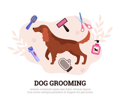 Grooming Tools