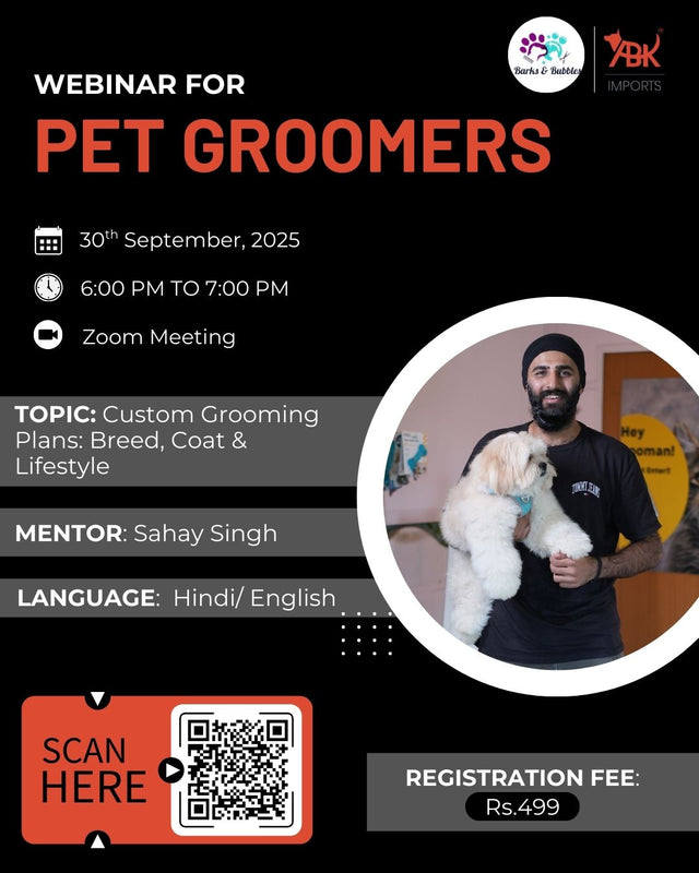 Custom Grooming Plans: Breed, Coat & Lifestyle