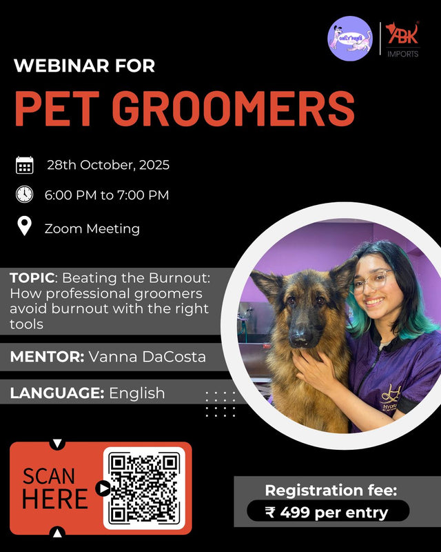 Beating the Burnout: How Professional Groomers Avoid Burnout with the Right Tools