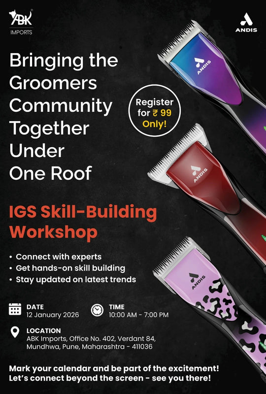 IGS Skill-Building Workshop