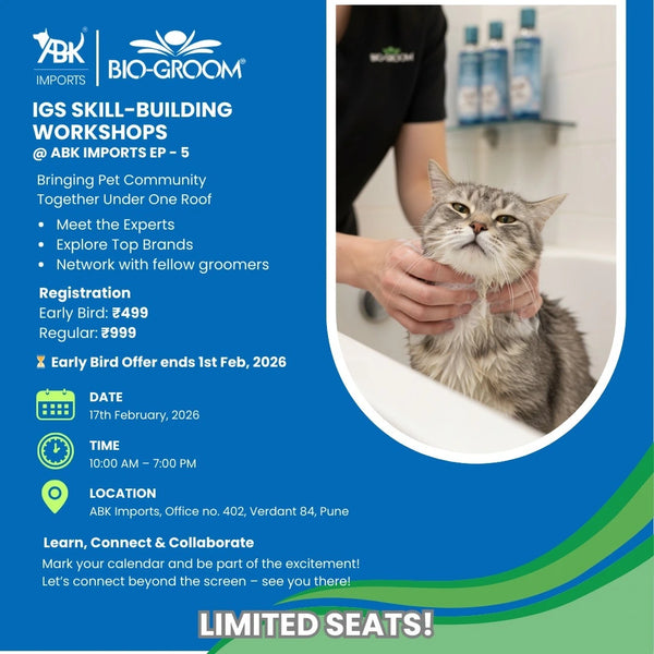 Cat Grooming Skill-Building Workshop | IGS EP–5
