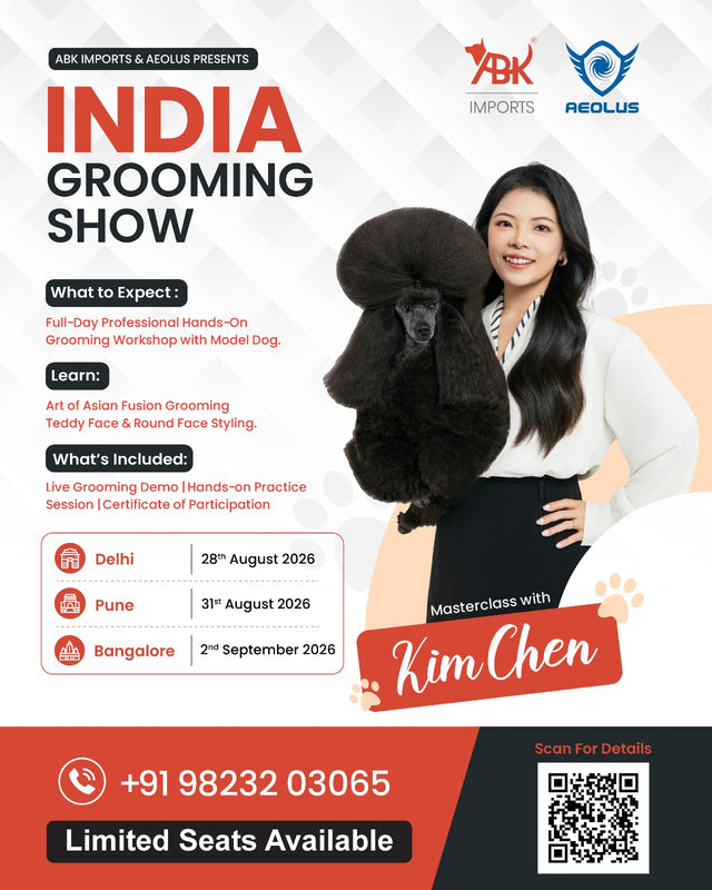 Professional Pet Grooming Intensive