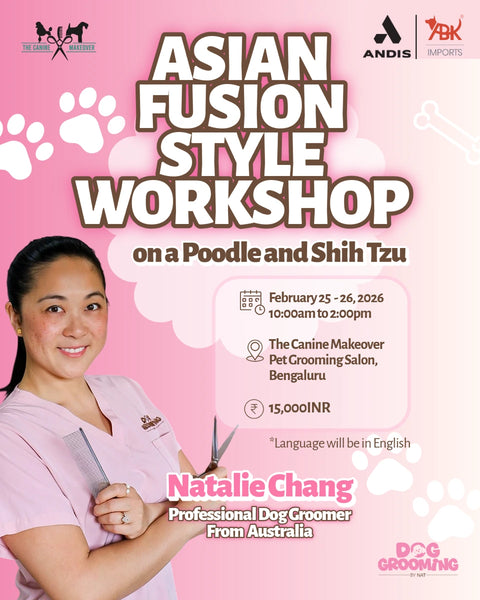 Asian Fusion Style Workshop on a Poodle and Shih Tzu