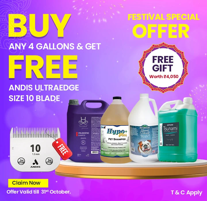 Grooming shampoo gallon offer – buy 4 gallons and get free Andis blade, ABK Imports India, shop Hydra, Bio-Groom, Artero, Double K pet grooming products, size 10 clipper blade free, festival discount for pet groomers, bulk shampoo combo for professional salons, Buy any 4 pet grooming shampoo gallons and get free Andis UltraEdge Size 10 Blade – limited time festival offer in India by ABK Imports, shop top brands like Hydra, Bio-Groom, Artero, Double K, pet groomers bulk deal, free clipper blade worth ₹4,050