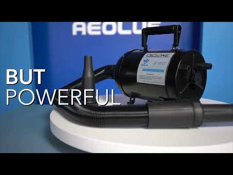 Aeolus Cyclone Single Motor Pet Dryer with Heater