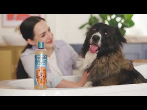 Biogroom So Easy 2 in 1 Shampoo + Conditioner – Gallon (355 ml)