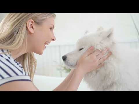 Bio-Groom Super White Coat Brightener Dog Shampoo (355 ML)