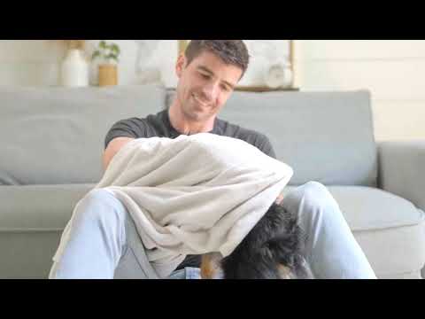 Bio-Groom Waterless-Bath Tearless No Rinse Dog Shampoo (235 ML)