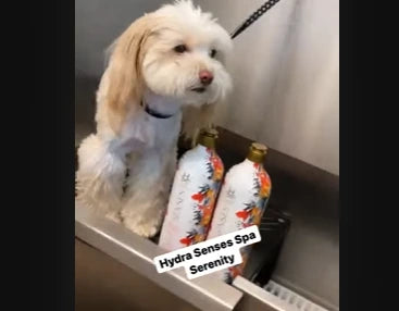 Hydra SPA Senses Serenity Pack