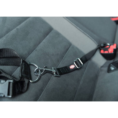 Trixie car seatbelt short leash for dog safety