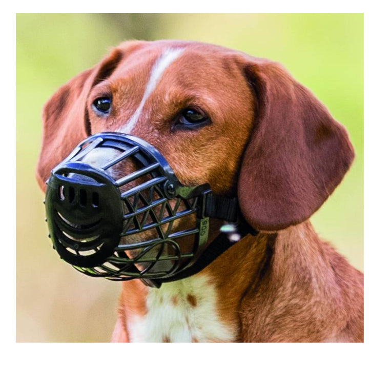 Trixie Plastic Muzzle for Dogs - Pack of 2