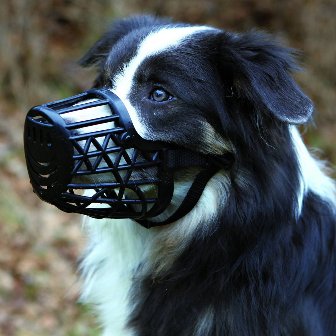 Trixie Plastic Muzzle for Dogs - Pack of 2