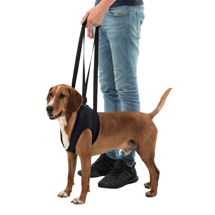 Vet Approved Trixie Dog Walking Aid ( M-L-XL)