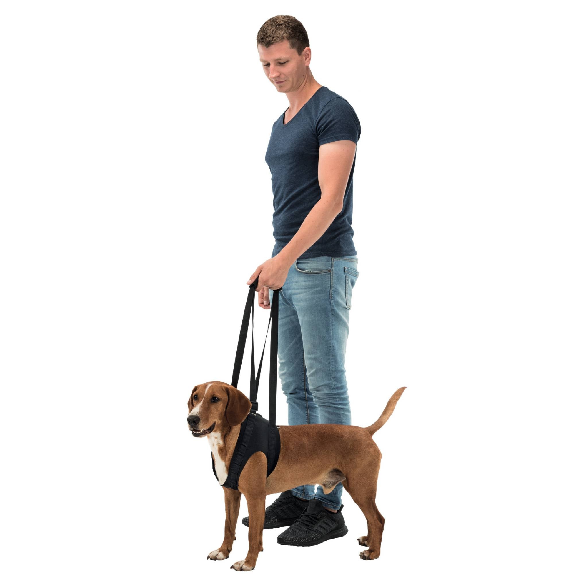 Trixie Vet Approved  Dog Walking Aid ( M-L-XL)