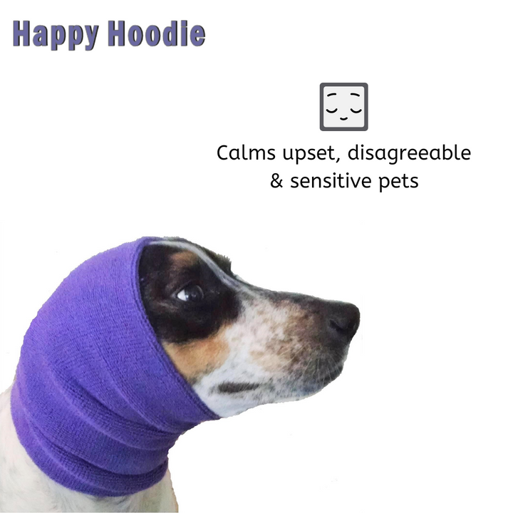 Happy Hoodie, Small