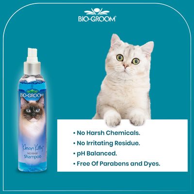 Biogroom Klean Kitty Waterless Shampoo For Cats, 236 ml